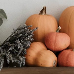 fall mini-session