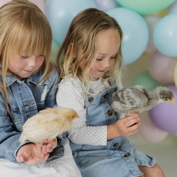 Easter Mini Session
